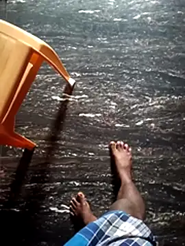 Snapshot of dolphiinn chatting on December 1, 2025, 1:06 am dolphiinn online show from December 1, 2025, 1:06 am