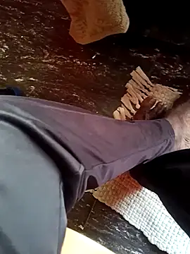 Snapshot of dolphiinn chatting on November 26, 2025, 2:11 am dolphiinn online show from November 26, 2025, 2:11 am