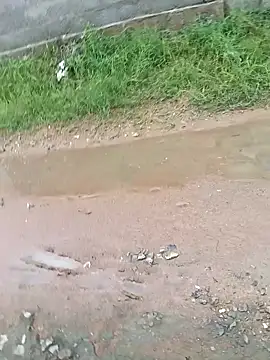 Snapshot of dolphiinn chatting on November 29, 2025, 2:34 am dolphiinn online show from November 29, 2025, 2:34 am