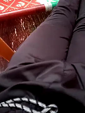 Snapshot of dolphiinn chatting on November 8, 2025, 1:47 pm dolphiinn online show from November 8, 2025, 1:47 pm