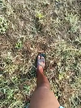 Snapshot of dolphiinn chatting on March 8, 2026, 2:04 am dolphiinn online show from March 8, 2026, 2:04 am