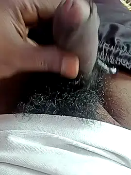 Snapshot of dolphiinn chatting on December 5, 2025, 4:55 am dolphiinn online show from December 5, 2025, 4:55 am