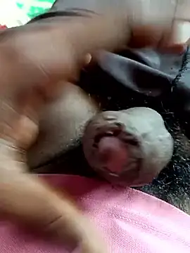 Snapshot of dolphiinn chatting on November 4, 2025, 5:33 am dolphiinn online show from November 4, 2025, 5:33 am