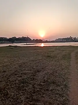 Snapshot of dolphiinn chatting on February 12, 2026, 1:27 am dolphiinn online show from February 12, 2026, 1:27 am