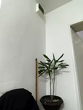 papichulo0099 online show from February 15, 2026, 2:34 am