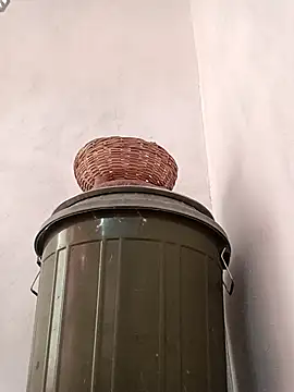 Snapshot of Dikchahot chatting on October 15, 2025, 1:37 am Dikchahot online show from October 15, 2025, 1:37 am