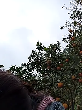  Helala  online show from December 16, 2025, 5:33 am