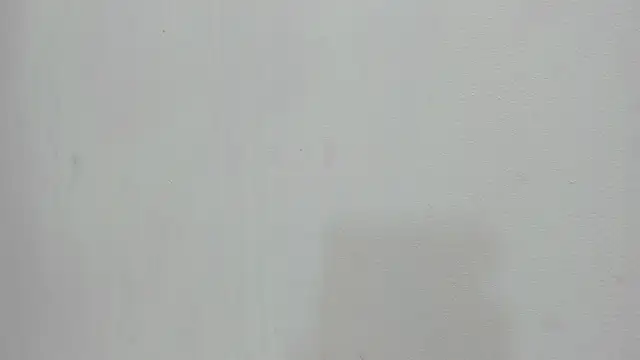 Snapshot of scarlett646 chatting on November 19, 2025, 3:06 am scarlett646 online show from November 19, 2025, 3:06 am