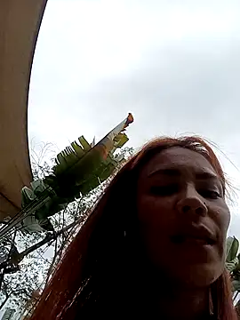 Snapshot of dulcelatin21 chatting on October 23, 2025, 9:24 pm dulcelatin21 online show from October 23, 2025, 9:24 pm