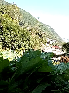 Snapshot of Maymay0033 chatting on November 29, 2025, 5:07 am Maymay0033 online show from November 29, 2025, 5:07 am