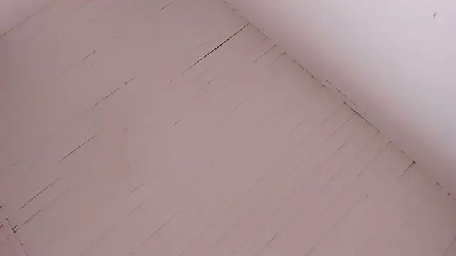 Snapshot of BellaBoobs_ chatting on October 15, 2025, 7:33 pm BellaBoobs online show from October 15, 2025, 7:33 pm