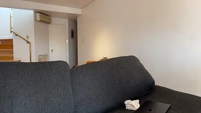 Snapshot of lenruy chatting on March 20, 2026, 2:29 pm lenruy online show from March 20, 2026, 2:29 pm