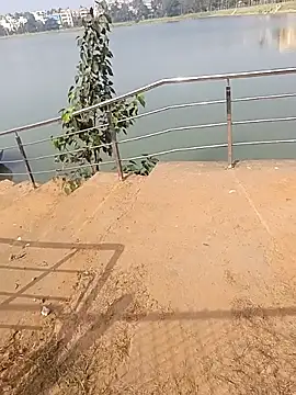 king godgm online show from December 21, 2025, 4:03 am