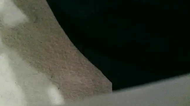 Snapshot of sexypunjabi26 chatting on January 8, 2025, 11:21 am sexypunjabi26 online show from January 8, 2025, 11:21 am