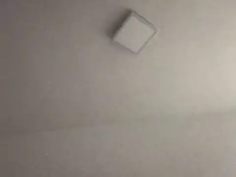 Snapshot of alegriadodia chatting on October 8, 2025, 7:47 pm alegriadodia online show from October 8, 2025, 7:47 pm