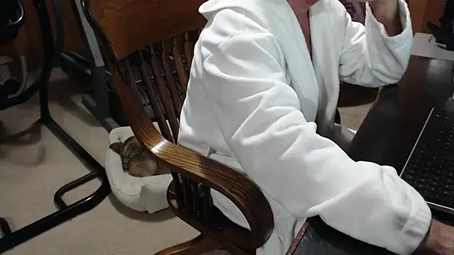 billy471 online show from November 30, 2025, 10:05 am