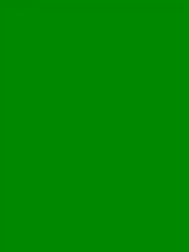 PunjabiSardarBull online show from February 28, 2026, 6:02 am