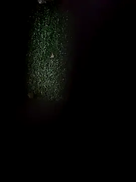 Jasmin Pink online show from November 5, 2025, 12:19 pm