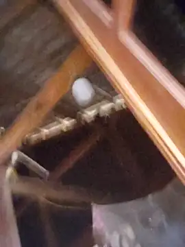 Angela-babyxx online show from October 11, 2025, 12:44 am