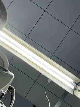 DHJM168 online show from December 16, 2025, 1:21 am