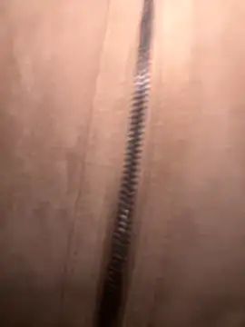 FroggyAnna online show from November 1, 2025, 3:39 pm