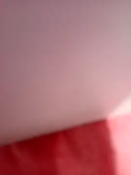 Snapshot of EcologicCurdling chatting on March 12, 2026, 8:29 am EcologicCurdling online show from March 12, 2026, 8:29 am