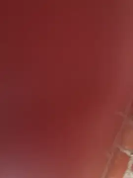 Snapshot of RAKEL37 chatting on November 23, 2025, 4:17 pm RAKEL37 online show from November 23, 2025, 4:17 pm