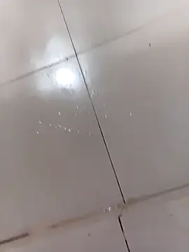 Snapshot of WrinkledTriops chatting on March 31, 2026, 4:14 am WrinkledTriops online show from March 31, 2026, 4:14 am