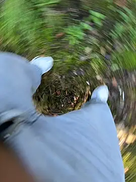 Snapshot of amo660 chatting on September 20, 2025, 10:09 am amo660 online show from September 20, 2025, 10:09 am