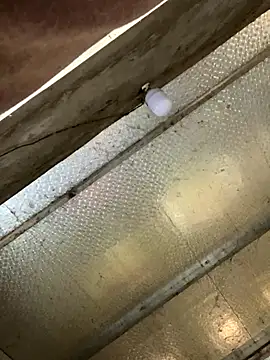 han-cute online show from November 24, 2025, 6:24 am