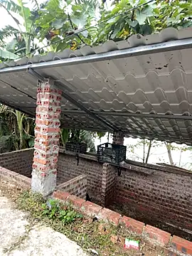 han-cute online show from December 20, 2025, 2:36 am