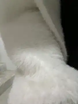 Cumonmme online show from January 18, 2026, 8:23 pm