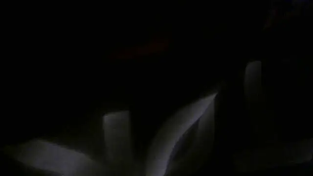Snapshot of crassanova chatting on April 22, 2026, 12:34 pm crassanova online show from April 22, 2026, 12:34 pm