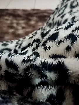 Gauderio40 online show from November 21, 2025, 4:11 am