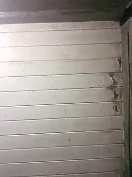 NegroArg 22 online show from October 2, 2025, 9:51 pm