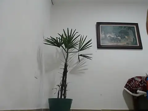 Snapshot of Young_handsome chatting on September 11, 2025, 1:27 am Young handsome online show from September 11, 2025, 1:27 am