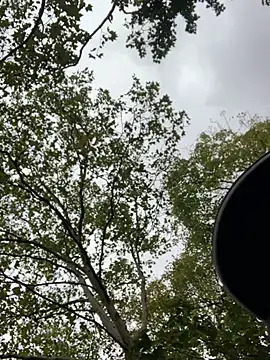 Snapshot of GeilerHSVFAN1989 chatting on October 16, 2025, 1:41 pm GeilerHSVFAN1989 online show from October 16, 2025, 1:41 pm