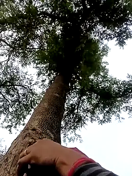 Hot-honi online show from February 3, 2026, 10:31 am