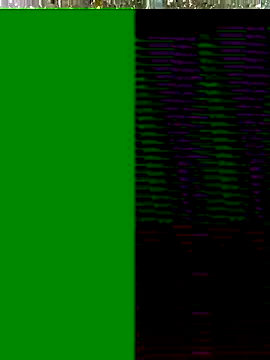 Snapshot of Hot-honi chatting on November 17, 2025, 10:19 am Hot-honi online show from November 17, 2025, 10:19 am