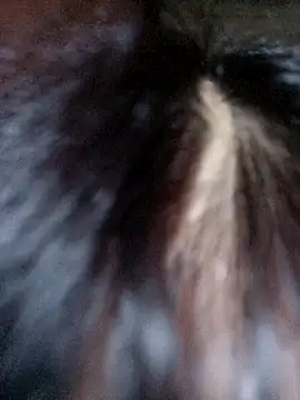 VanGau031694 online show from October 8, 2025, 8:16 am