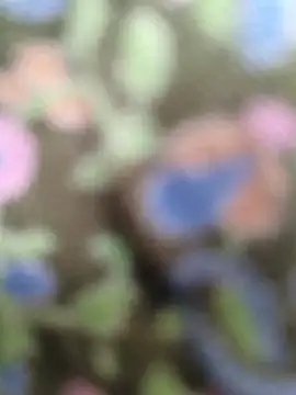sexy  girls98 online show from June 17, 2026, 6:13 am