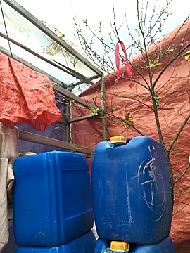 Snapshot of liu-liusexy chatting on February 19, 2026, 8:22 am liu-liusexy online show from February 19, 2026, 8:22 am