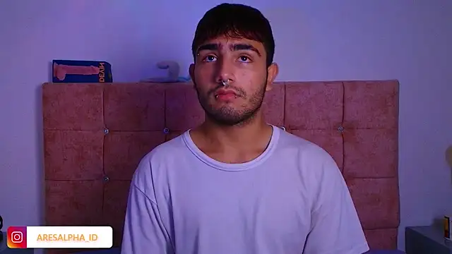 Ares Alpha online show from October 16, 2025, 7:44 pm