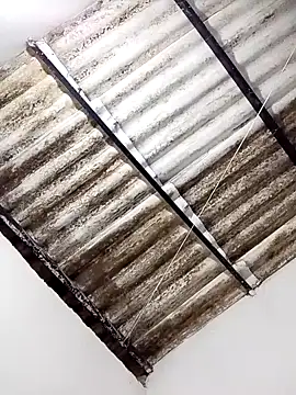 Snapshot of anitotori chatting on October 30, 2025, 2:36 pm anitotori online show from October 30, 2025, 2:36 pm