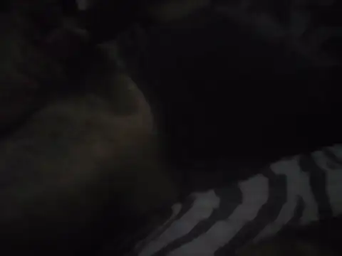 Deivid32t online show from November 28, 2025, 7:08 am