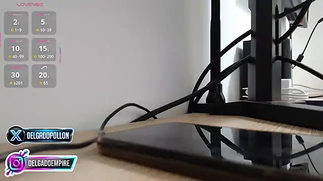 delgadopollon1991 online show from April 27, 2026, 8:51 pm