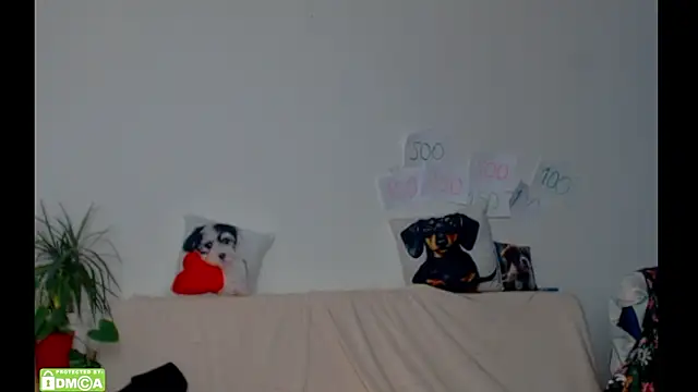 Snapshot of ZeinMiracles chatting on February 17, 2026, 8:39 pm ZeinMiracles online show from February 17, 2026, 8:39 pm