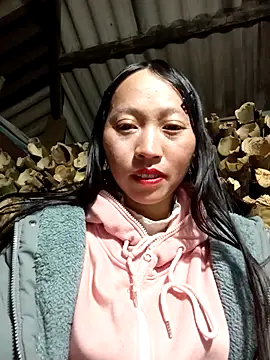 tcm-cute online show from December 18, 2025, 1:15 pm