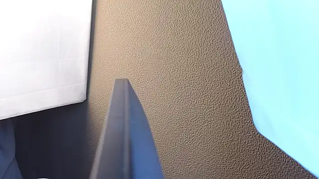 Snapshot of Vina_Vision chatting on November 4, 2025, 12:09 pm Vina Vision online show from November 4, 2025, 12:09 pm