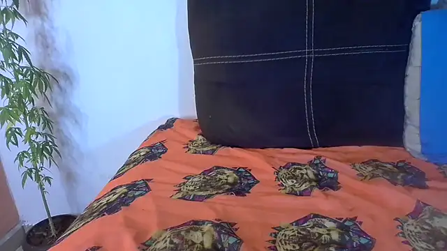 Snapshot of Analvamp chatting on October 21, 2025, 4:23 am Analvamp online show from October 21, 2025, 4:23 am